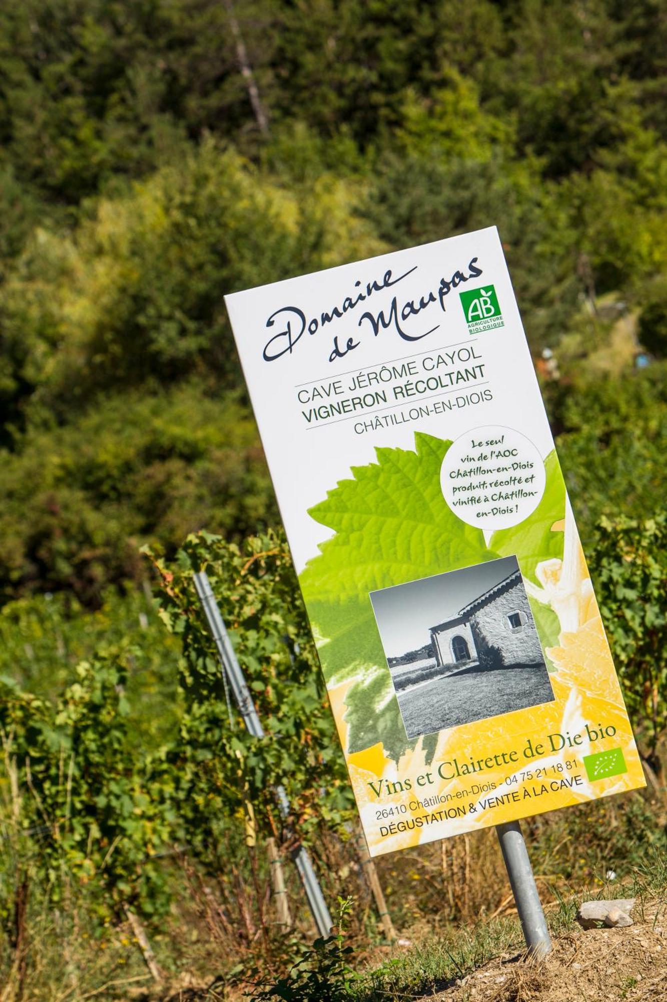 Le Dauphine Hotel Châtillon-en-Diois Eksteriør billede