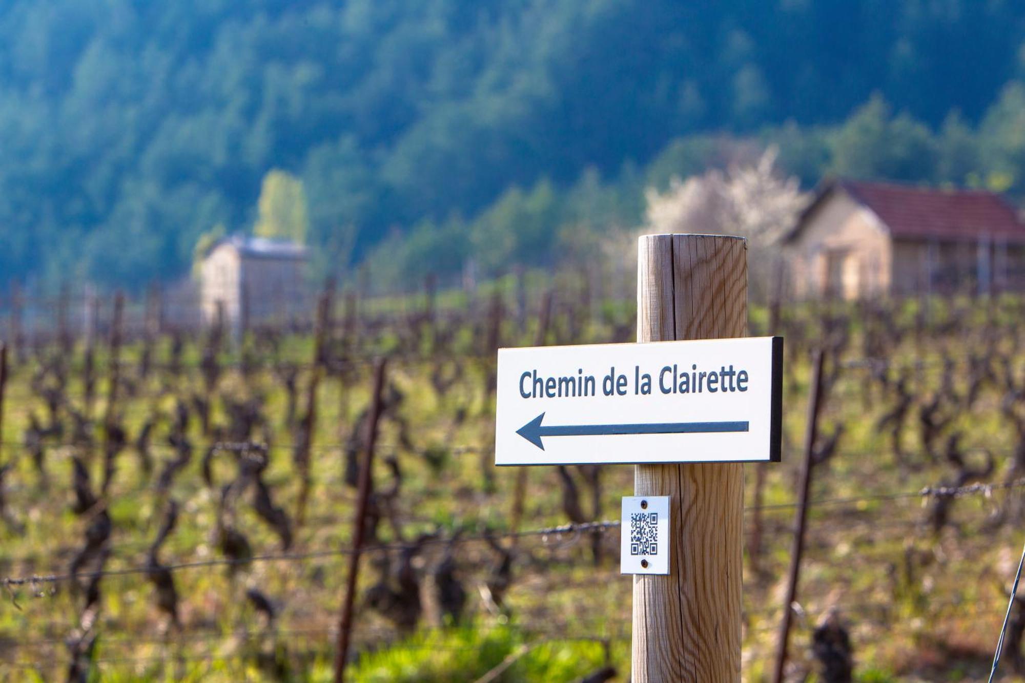 Le Dauphine Hotel Châtillon-en-Diois Eksteriør billede